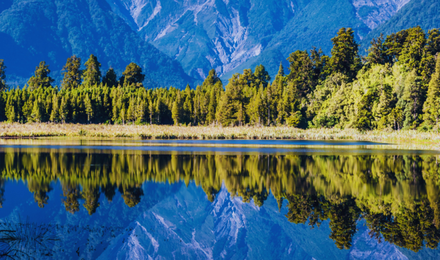 The Best Places to Go Hiking in New Zealand: Unforgettable Trails and Breathtaking Scenery